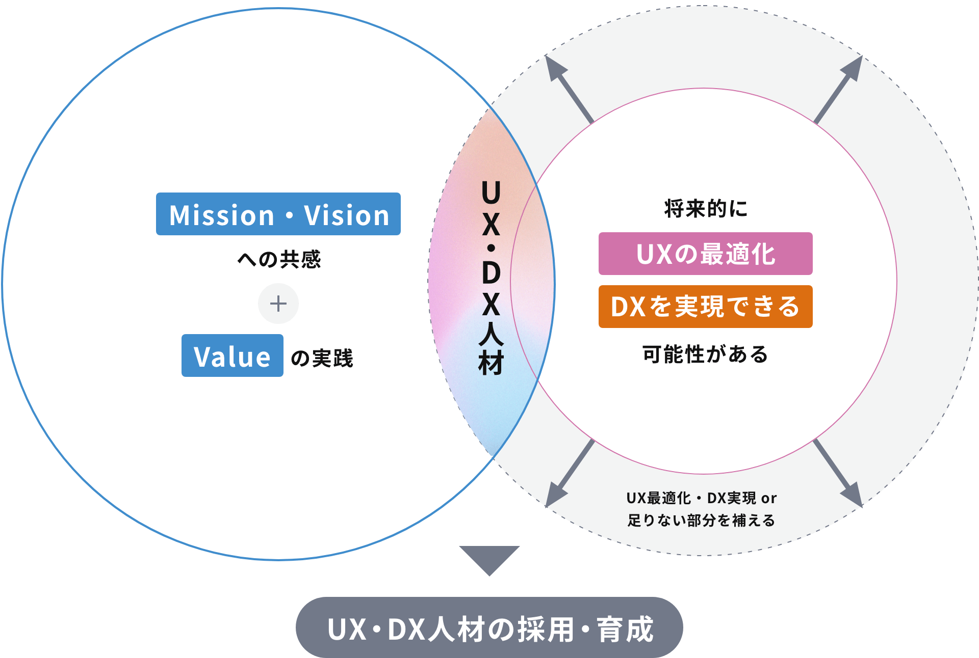 UX・DX人材の採用・育成 Mission・Visionへの共感+Valueの実績 UX・DX人材 将来的にUXの最適化 DXを実現できる可能性がある UX最適化・DX実績or足りない部分を補える